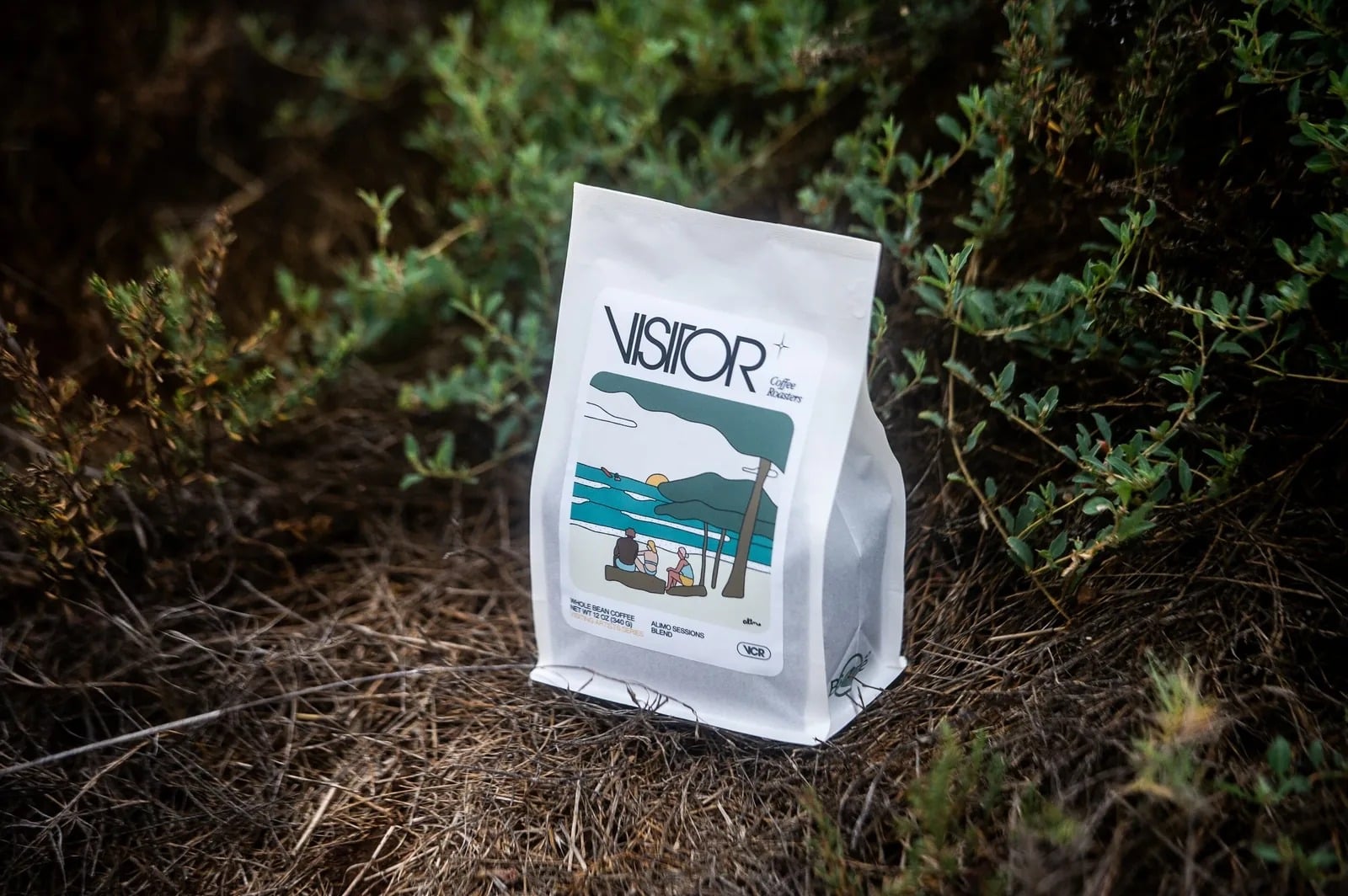 Alimo x Visitor Coffee, 2022 — San Diego, CA — surf lifestyle brand art, art collaboration by Alimo, post-pop surf artist Brooklyn NY — image 1 of 2